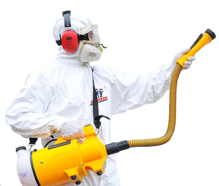 Dedetizadora - SP Dedetizadora - SP